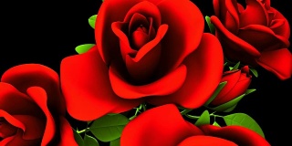 黑色背景下的红玫瑰花束