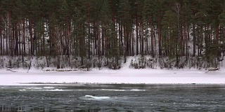 冬季，阿尔泰河卡顿附近的松林堤下浮冰和淤泥