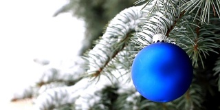 挂在云杉树枝上的蓝色圣诞球