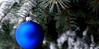 蓝色的圣诞球挂在蓝色的云杉树枝上