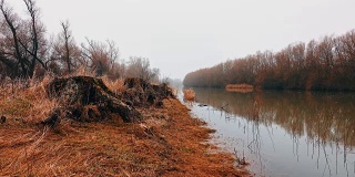 罗马尼亚多瑙河三角洲的风景