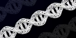 DNA分子的细胞结构改变了。