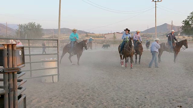 马背上的人群观看达斯迪牛仔竞技会上的套索比赛