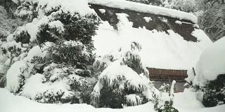 淘金:白川村老式和现代的房子被雪覆盖