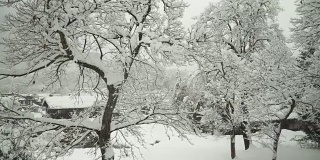 高角度拍摄:雪景覆盖白川村