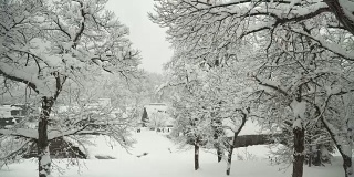 高角度倾斜视图:白川村覆盖积雪