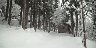 淘洗:白川村松林中的木屋，雪下