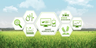 智慧农业智慧农业大麦绿田六边形信息图形图标物联网4工业Revolution.3。