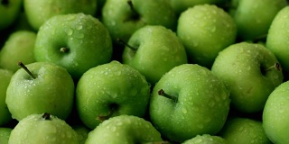 新鲜的青苹果——健康生活的源泉