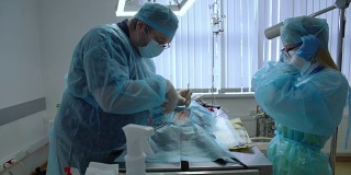 兽医诊所的外科手术。两个兽医组成的团队，男，外科医生，女，护士，在手术室里锯猫。手术从腹部的第一个切口开始。