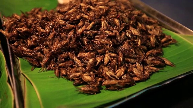 可食用的烤香粉虫，泰国街头小吃炸虫子