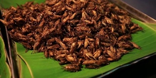 可食用的烤香粉虫，泰国街头小吃炸虫子