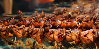 慢动作镜头的特写烹饪烤鸽子的传统烤架，泰国传统食物，亚洲食物