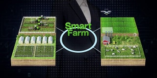 商人触摸“智能农场”技术，将智能农场、传感器连接乙烯基房屋、温室。连接物联网。第四次工业革命。