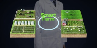 科学家、工程师触摸“智能农场”技术，智能农场、传感器连接乙烯基房屋、温室。连接物联网。第四次工业革命。