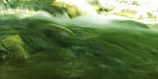 近距离观察快速的淡水溪流中的藻类