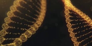两个旋转的神经丛DNA链，脉冲贯穿其中-金橙色版本