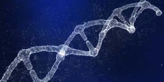 神经丛DNA分子模型