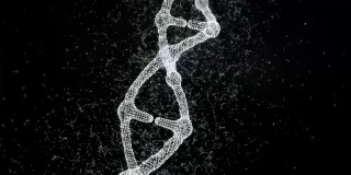 神经丛DNA分子模型