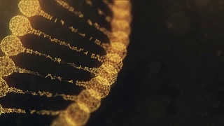 旋转丛DNA链-金橙色版本视频素材模板下载