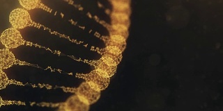 旋转丛DNA链-金橙色版本