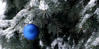 蓝色的圣诞球挂在云杉树枝和雪花