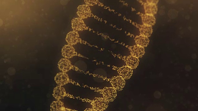 组装和散射旋转丛DNA链-金橙色版本