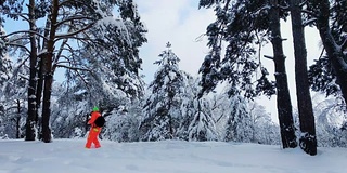 一个拿着相机的人正在拍摄冬天雪地里的森林。