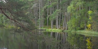 树林间的小路，穿过湖边的原始森林