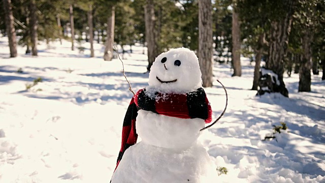 雪人在雪山森林公园在一个阳光明媚的日子