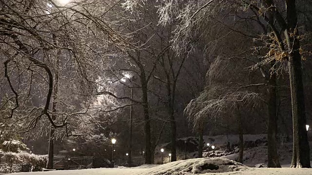 中央公园的暴风雪