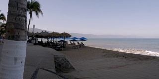 空荡荡的沙滩躺椅、雨伞和palapas为海滩游客准备好了