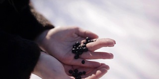 冬天雌性手掌上的黑色浆果