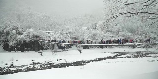 淘金:Shogawa河和旅客将通过吊桥前往shirakawa村