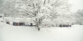 白川村的景色:冬天游客来了