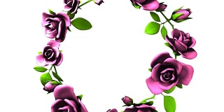 白色文本空间上的粉红玫瑰框架