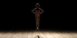 舞台上小芭蕾舞女演员的剪影。