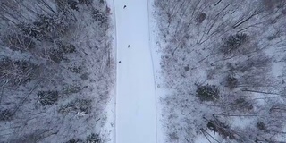 人们在滑雪场的雪坡上滑雪和滑雪。冬天滑雪