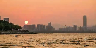 日出在岩石海岸和海鸥降落在海上