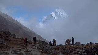 喜马拉雅山的游客兼搬运工视频素材模板下载