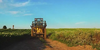 农用拖拉机在耕地，鹤梢。