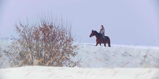 美丽的长发女子骑着一匹棕色的马穿过森林里的深雪堆