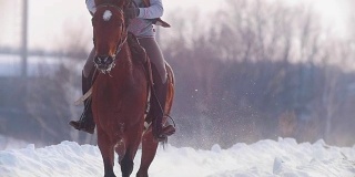 长发女骑手狂野而快速地骑着黑马穿越雪地，慢镜头