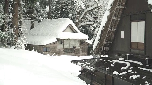 日本的房子属于白川村松树林