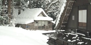 日本的房子属于白川村松树林