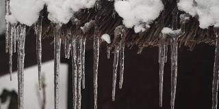淘金:白川村的屋顶上，冰冷的水形成了冰冻的矛