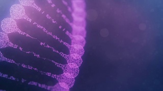 旋转丛DNA链-紫色版本视频素材模板下载