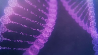 两个旋转丛DNA链-紫色版本视频素材模板下载