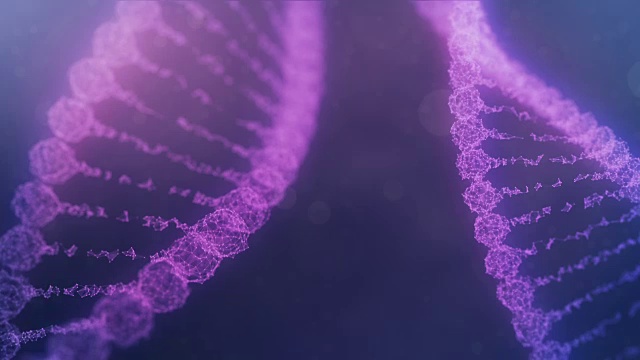 两个旋转的神经丛DNA链与冲动运行-紫色版本