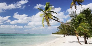 热带海滩，棕榈树和船